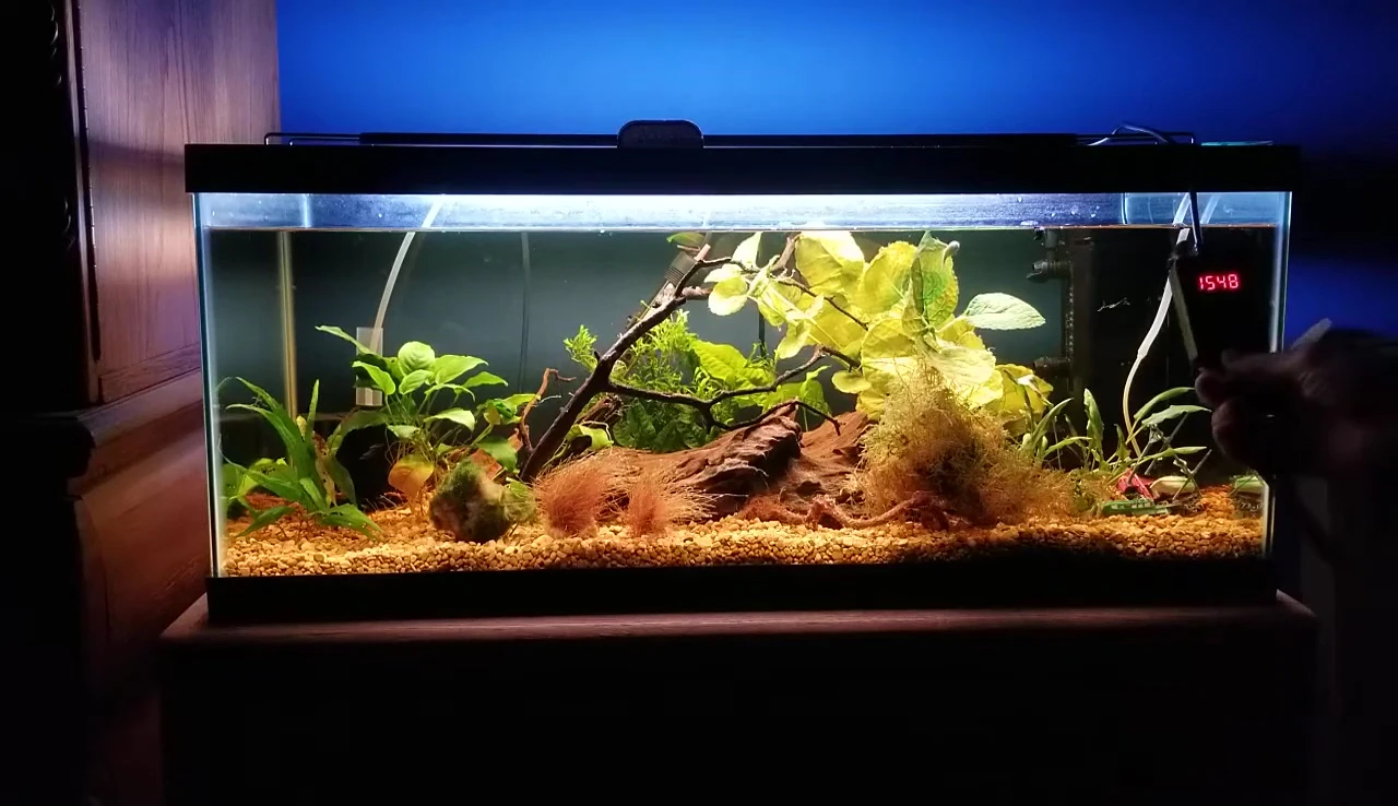 Display of red, green, and blue light options