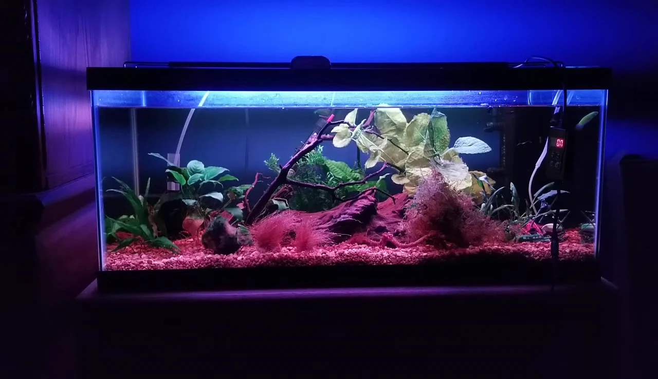 Thunderstorm mode in action