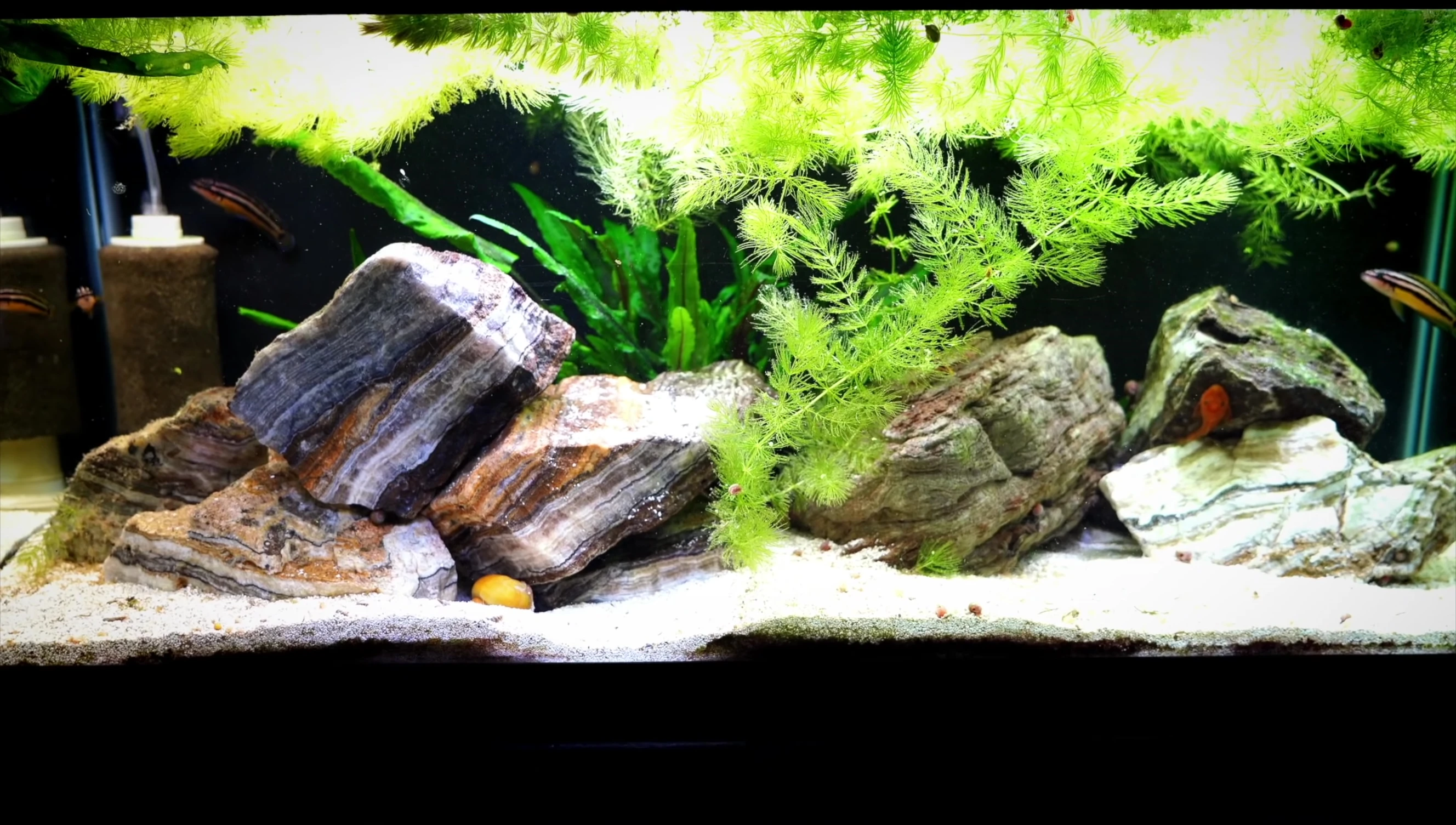 Illustrating the difference in sinking time between fine and coarse filters.