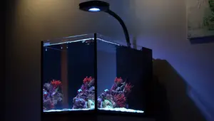 Beginner's Guide to Saltwater Aquarium Lighting: Choosing the Right Fixture