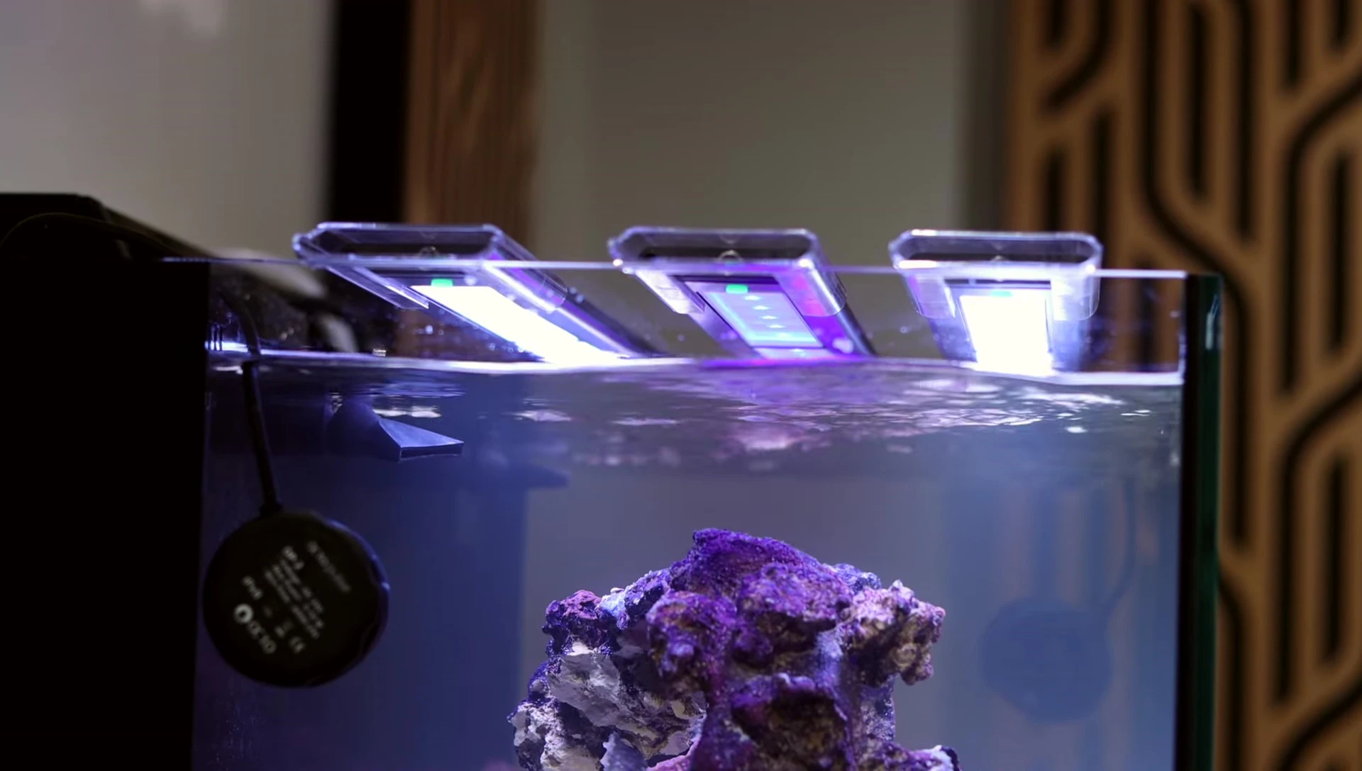 The lights being mounted on the aquarium