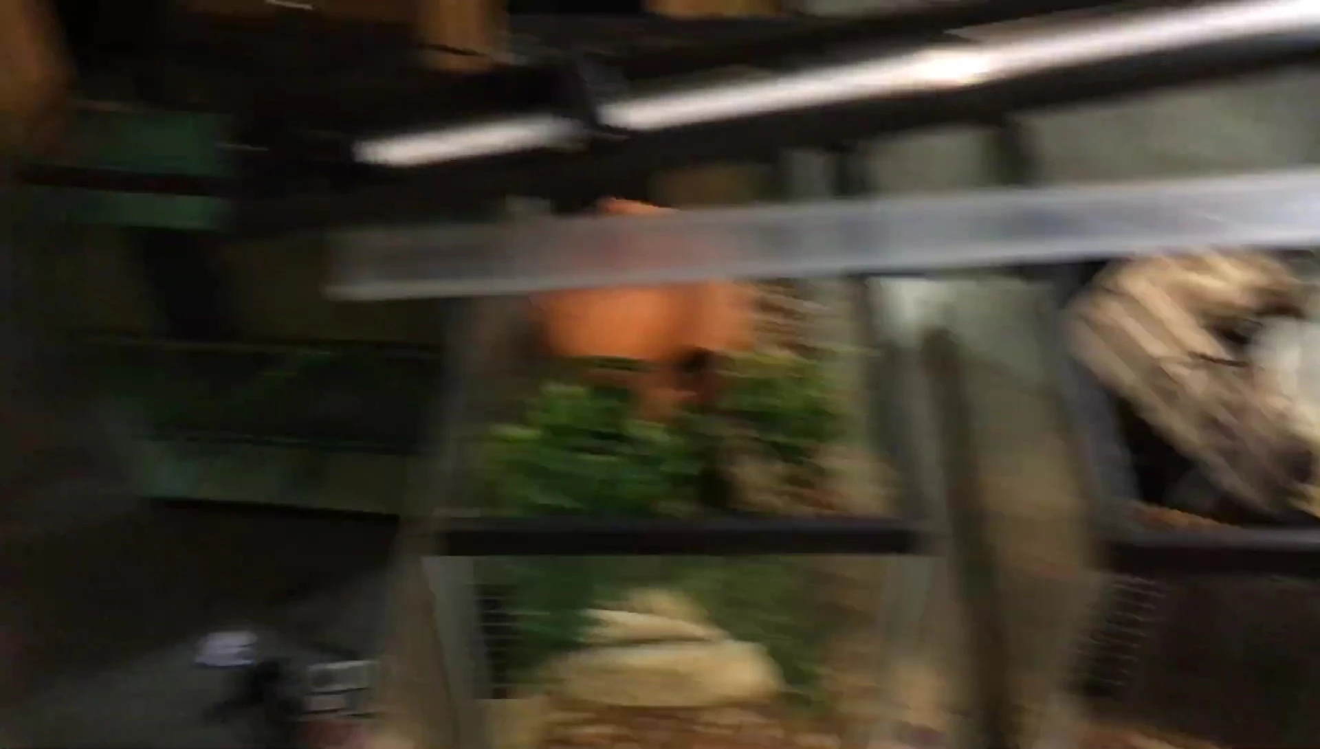 The 30-gallon breeder tank