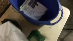 Free Fish Tank Haul: Amazing Craigslist Find! Review of Fluval Light & Sponge Filters