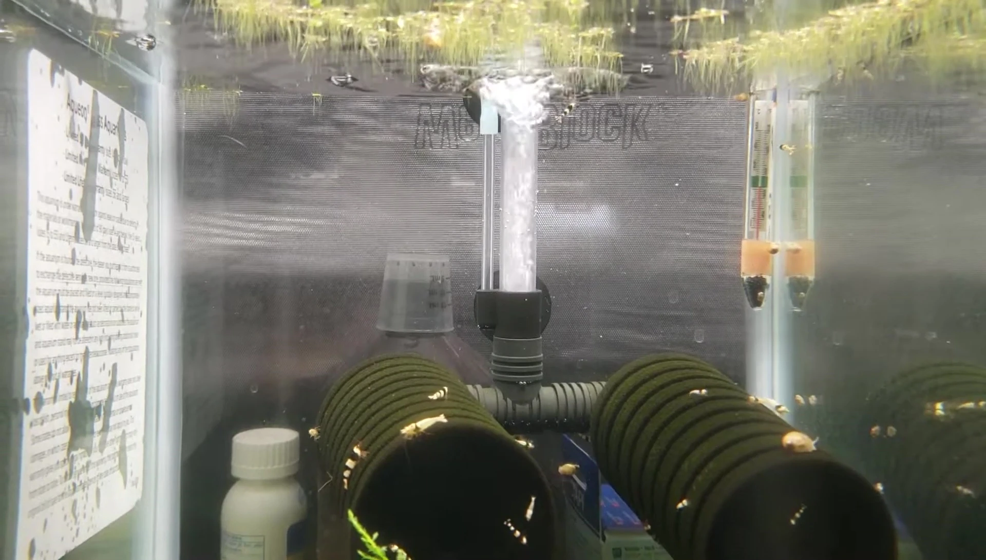 Modified dual sponge filter with increased water flow