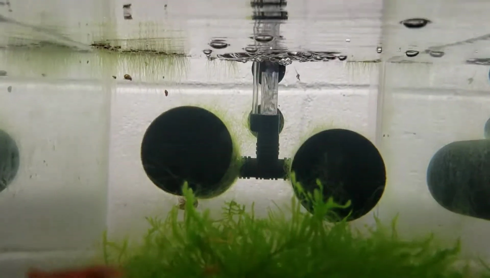 Comparison of water movement with original and modified filter