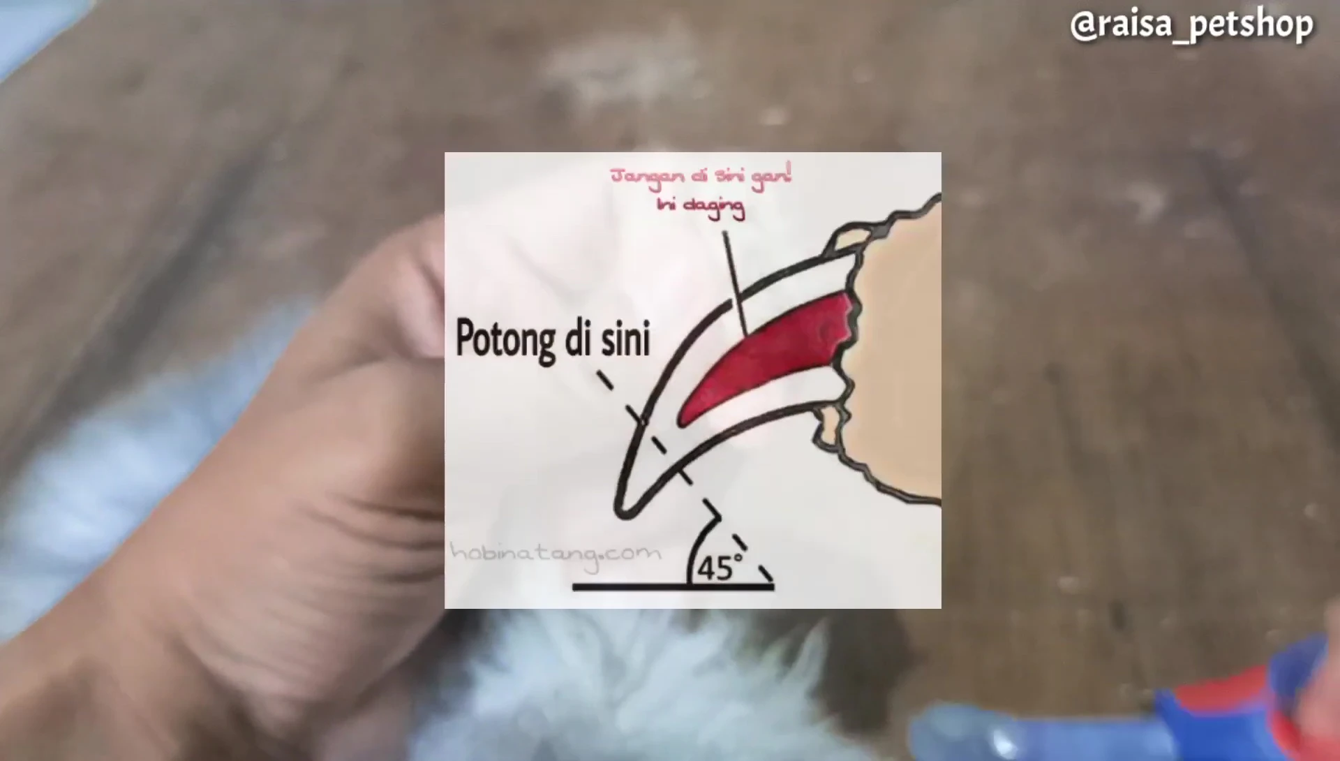 Image showing the difference between the quick and the claw