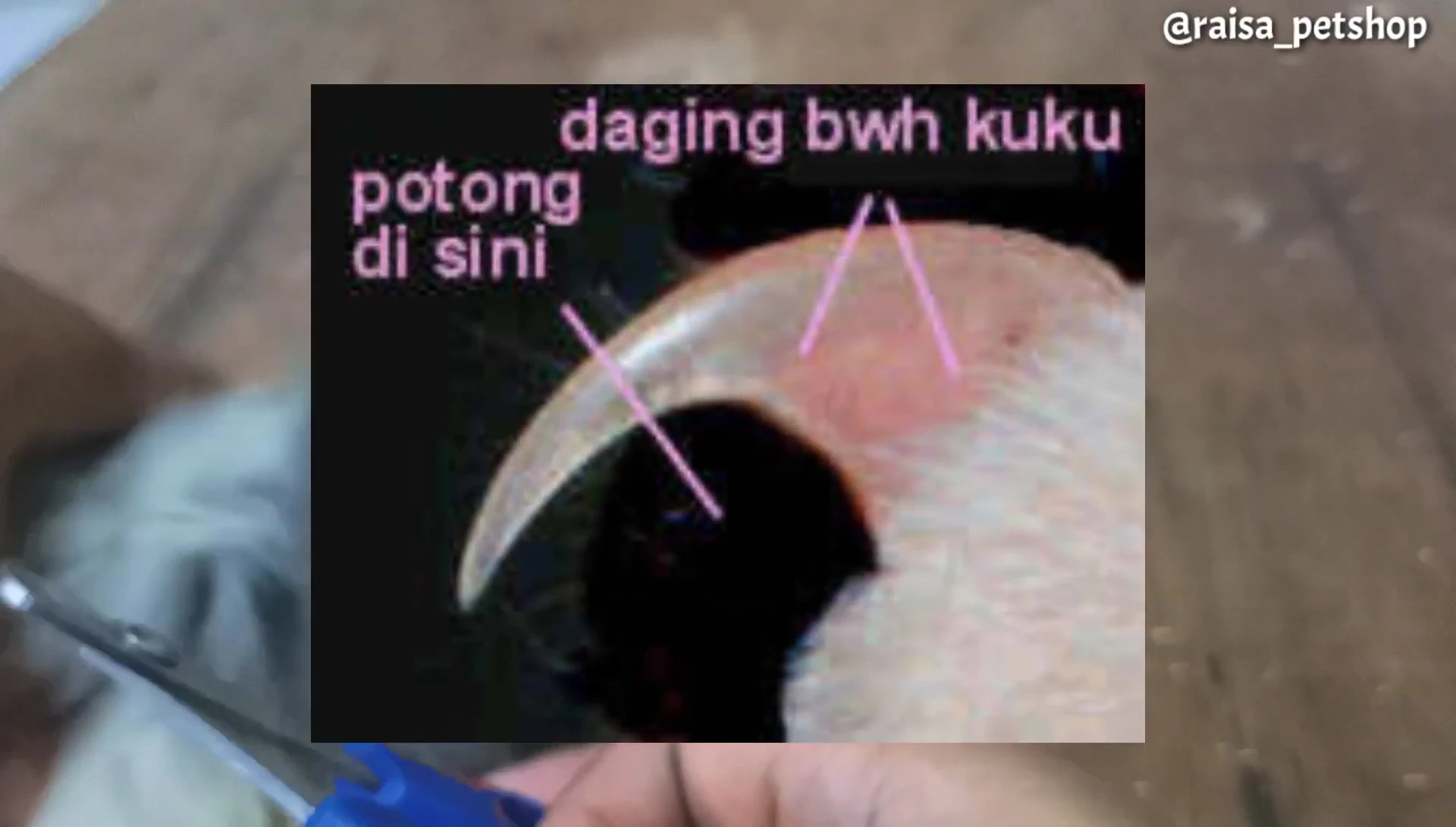 Image emphasizing avoiding the quick