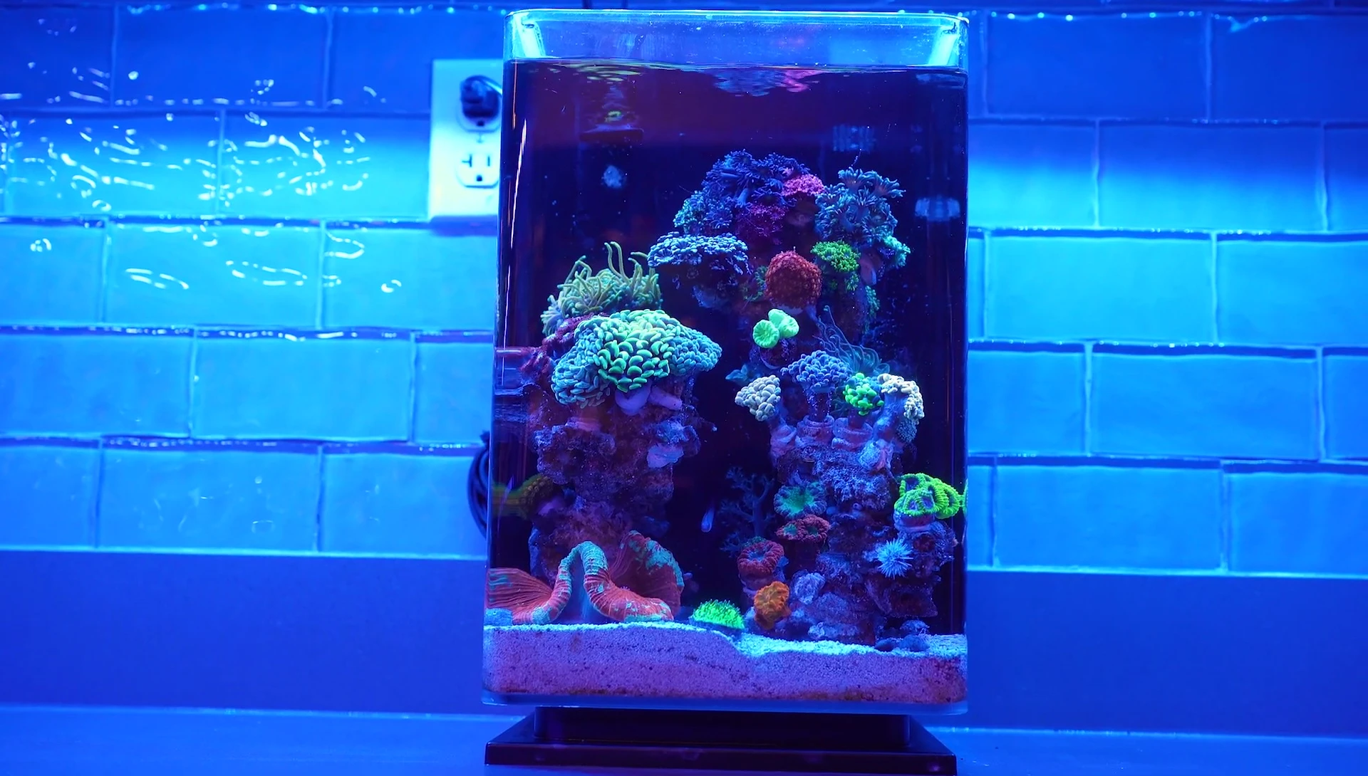 The 5-pound box of staxx rocks used for the aquascape.