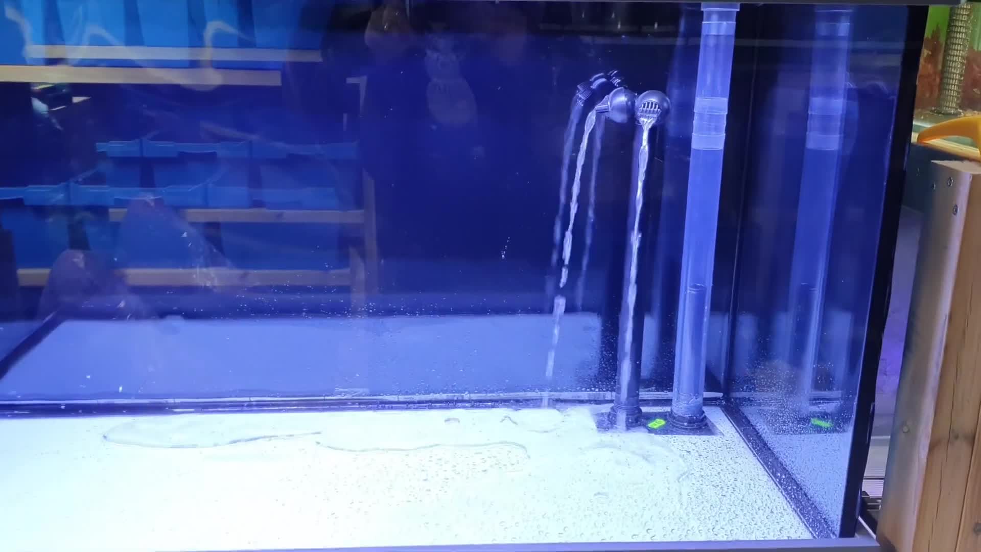 Filling the Fluval Shaker 252 with water
