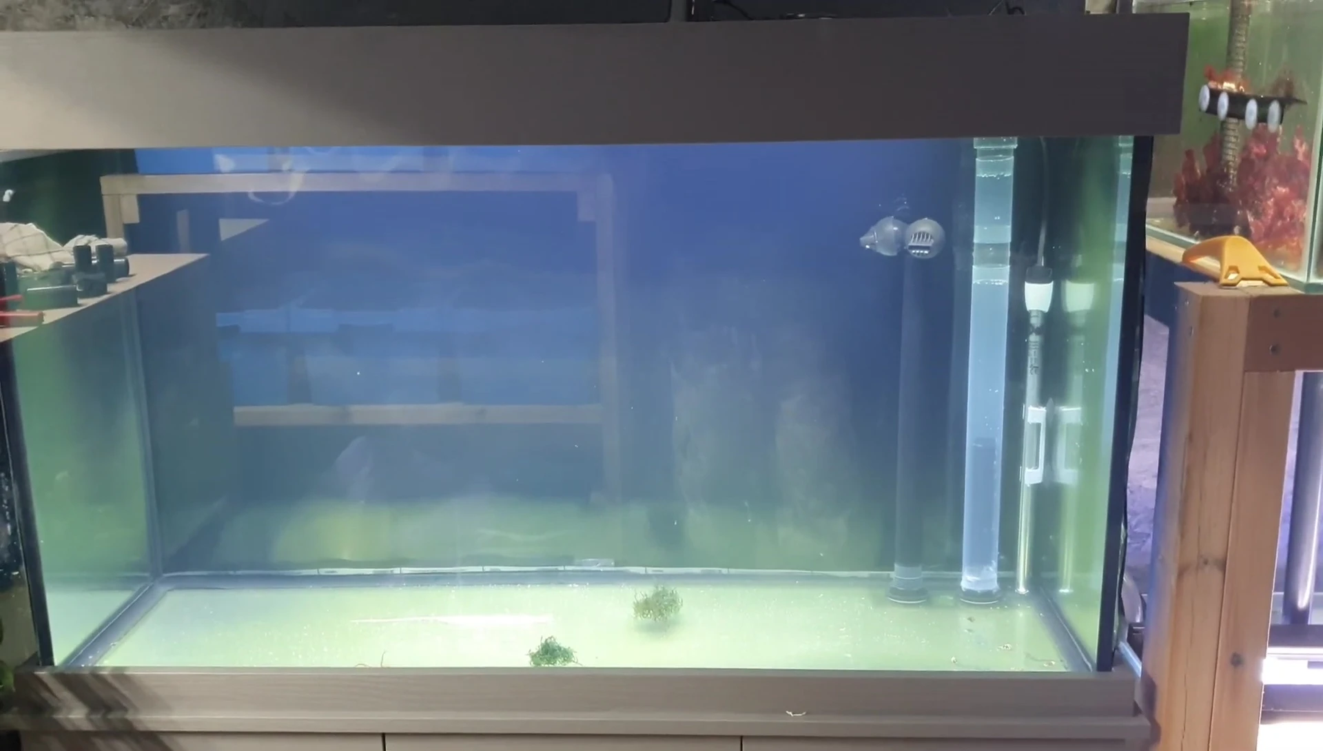 The tank running two days after filling