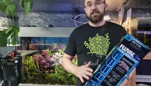 Fluval Reef 4.0 LED Aquarium Light Review: A Comprehensive Upgrade