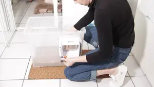 Smell-Free Litter Box: My Secret Weapon for Multiple Cats