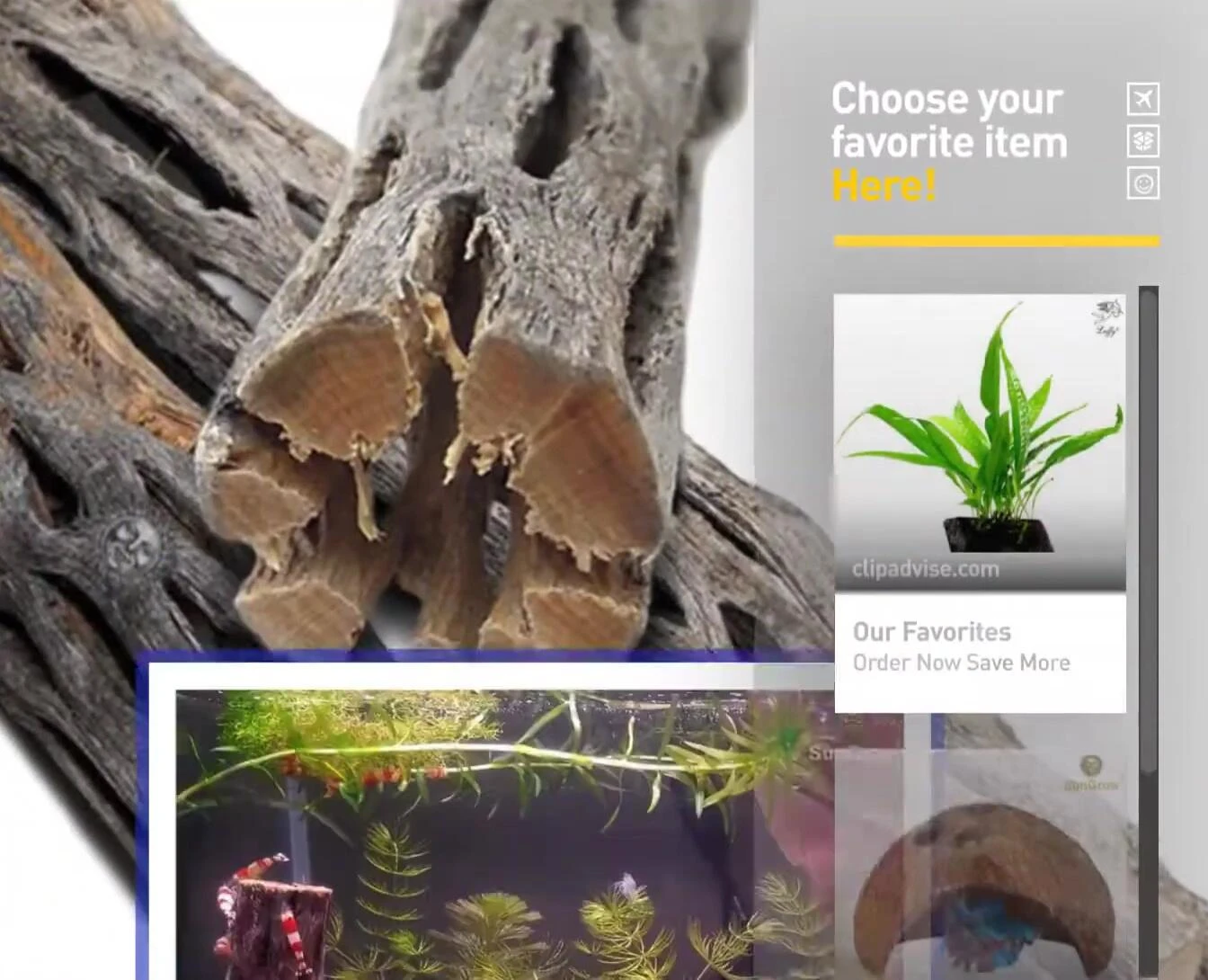 A shot of Zoo Med aquarium wood, showing its design and quality.