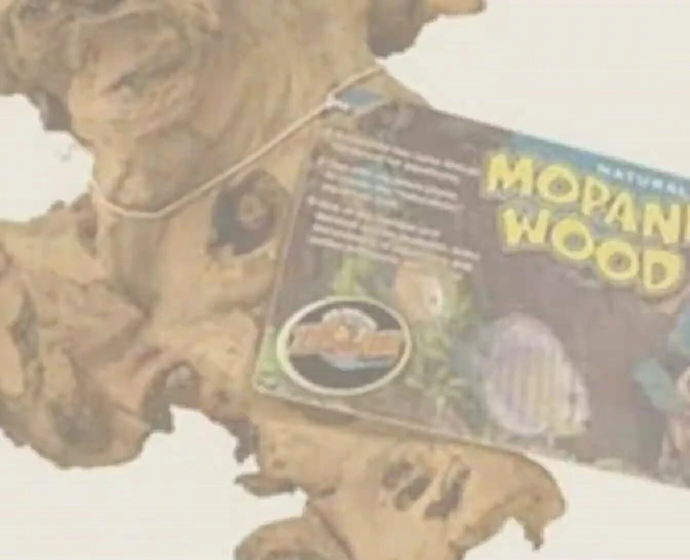 A close-up of Leis' aquarium decoration, highlighting its details.