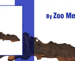 Top 10 Aquarium Décor: A Wood Lover's Paradise