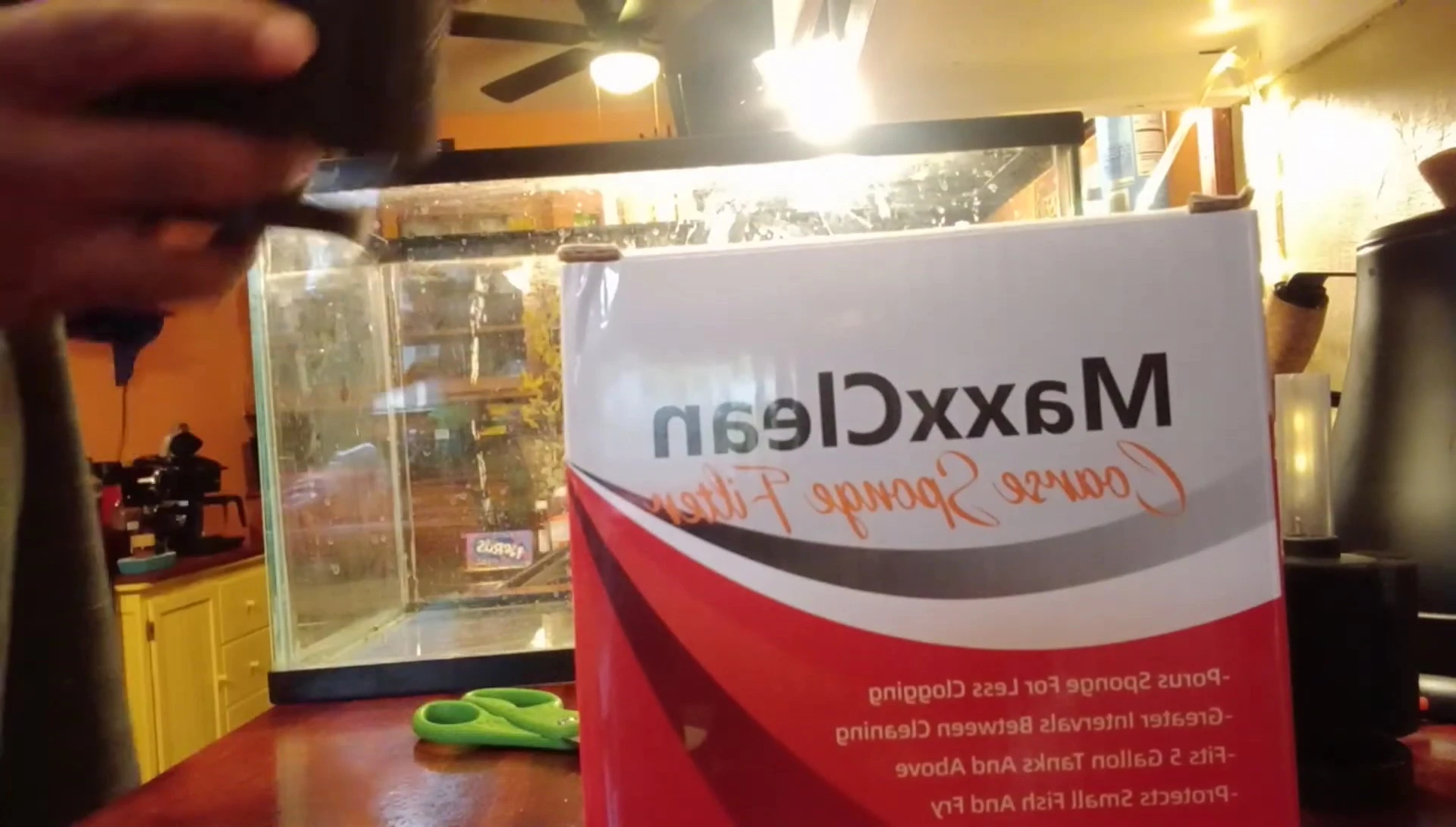 The sponge filter next to a 5-gallon tank to demonstrate size.