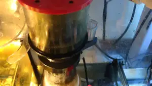 Reef Octopus Coral Vue Protein Skimmer Review: Compact and Efficient?
