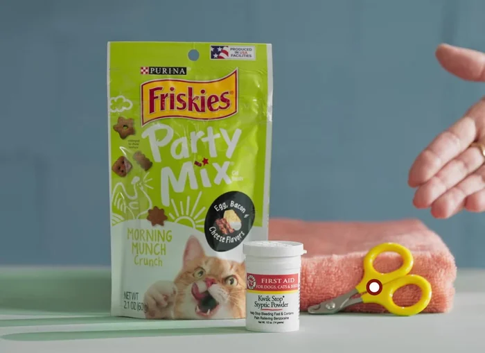 Gather your supplies: nail clipper or grinder, styptic powder, towel (optional), and plenty of treats.