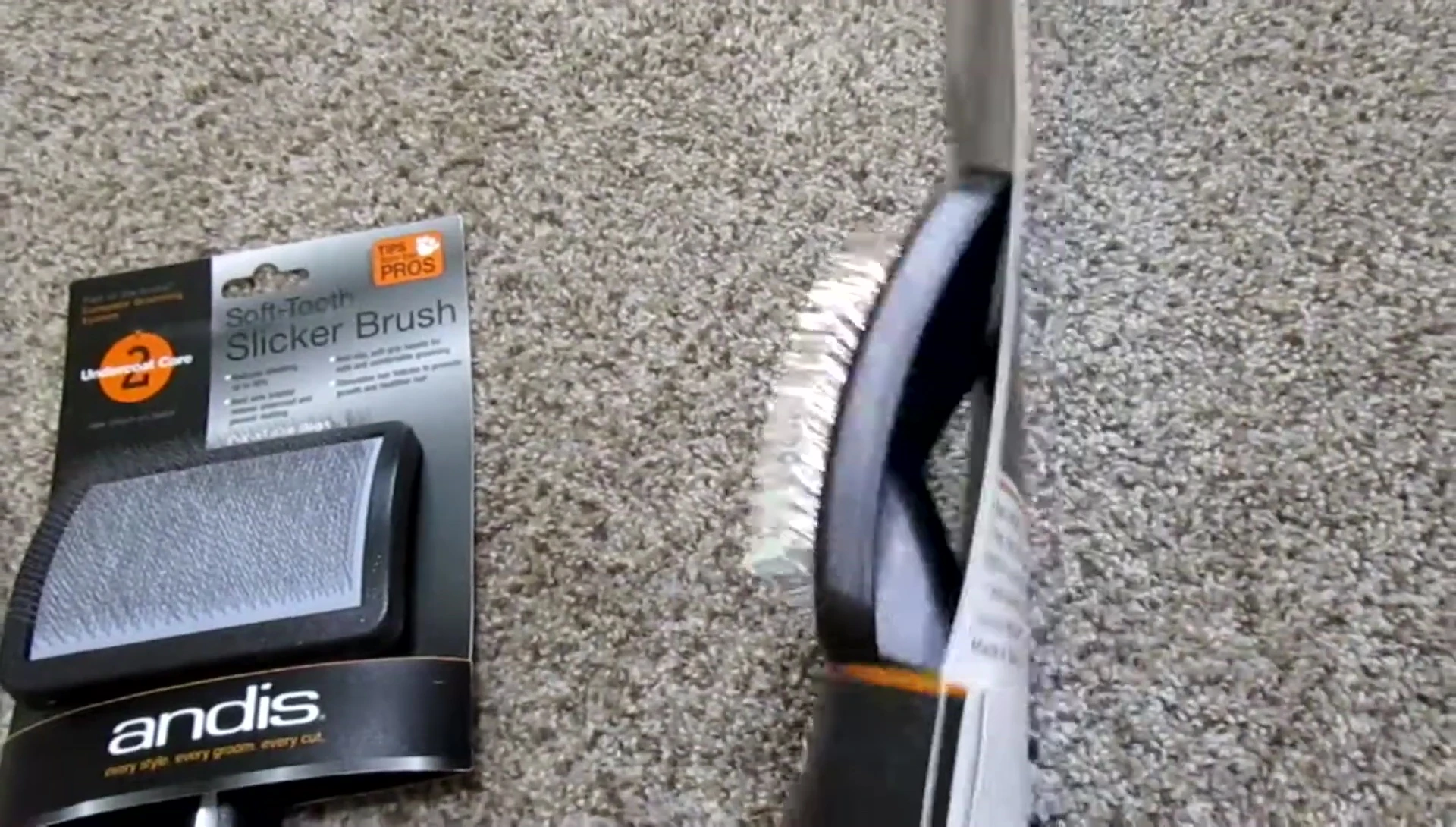 The reviewer holding and demonstrating the firm brush.