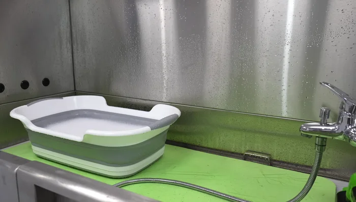 Bathe the cat with warm, soapy water and a gentle soap like Chubs bar soap for dry skin. Monitor the cat's comfort level.