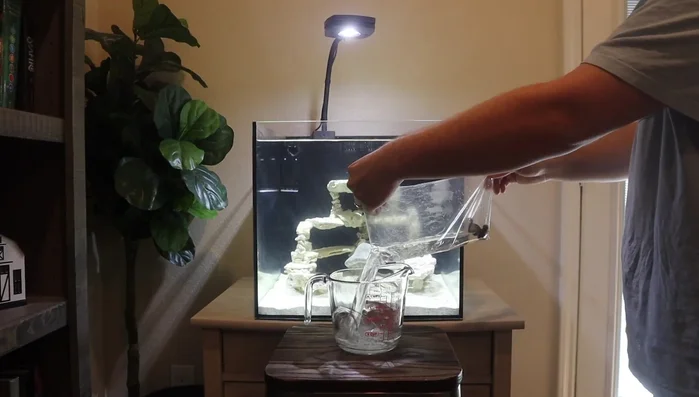 Rinse corals thoroughly with fresh saltwater after dipping.