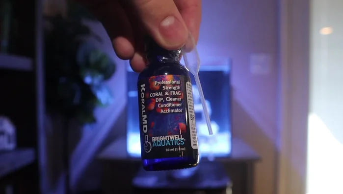 Rinse corals thoroughly with fresh saltwater after dipping.