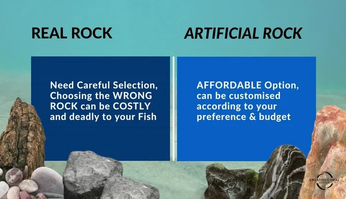 Consider cost: While careful selection is crucial for real rocks to avoid harming fish, artificial rocks are a more affordable and customizable option.
