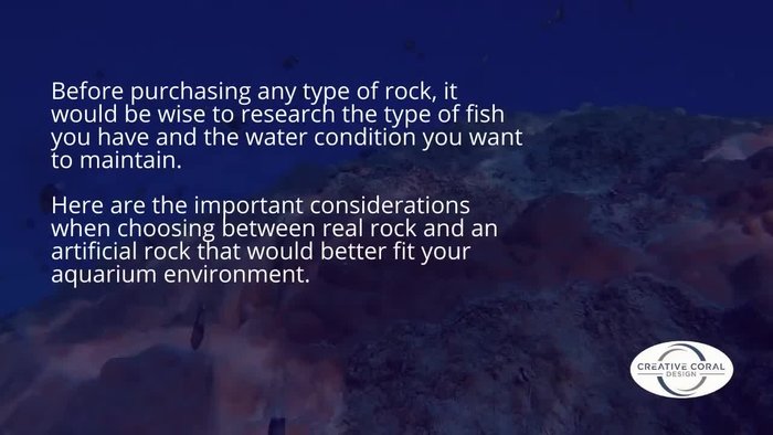 Research your fish species and desired water conditions before choosing rocks.