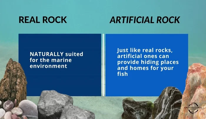 Assess fish adaptability: Both real and artificial rocks can provide suitable hiding places for fish.