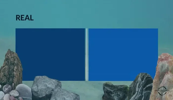 Assess appearance: Real rocks offer a natural look, while artificial rocks provide more size and color choices.