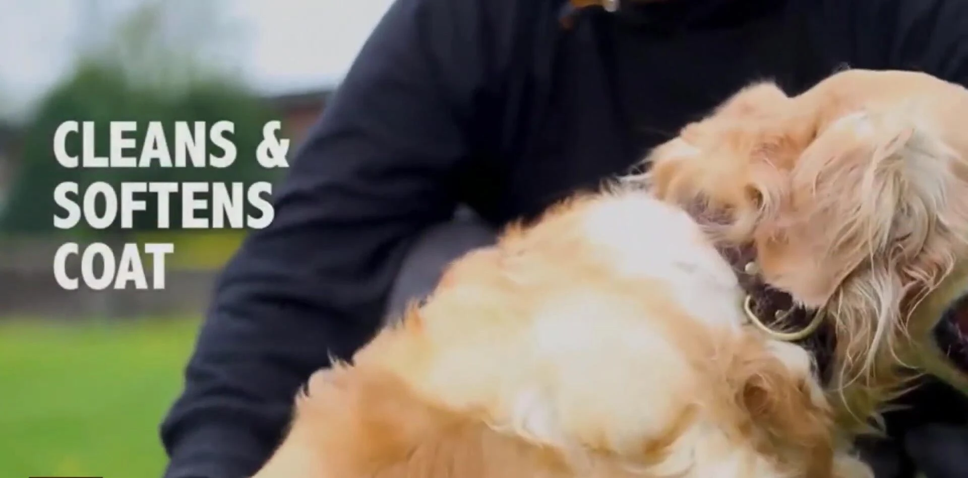 Close-up of the Lomo Pet Grooming Glove