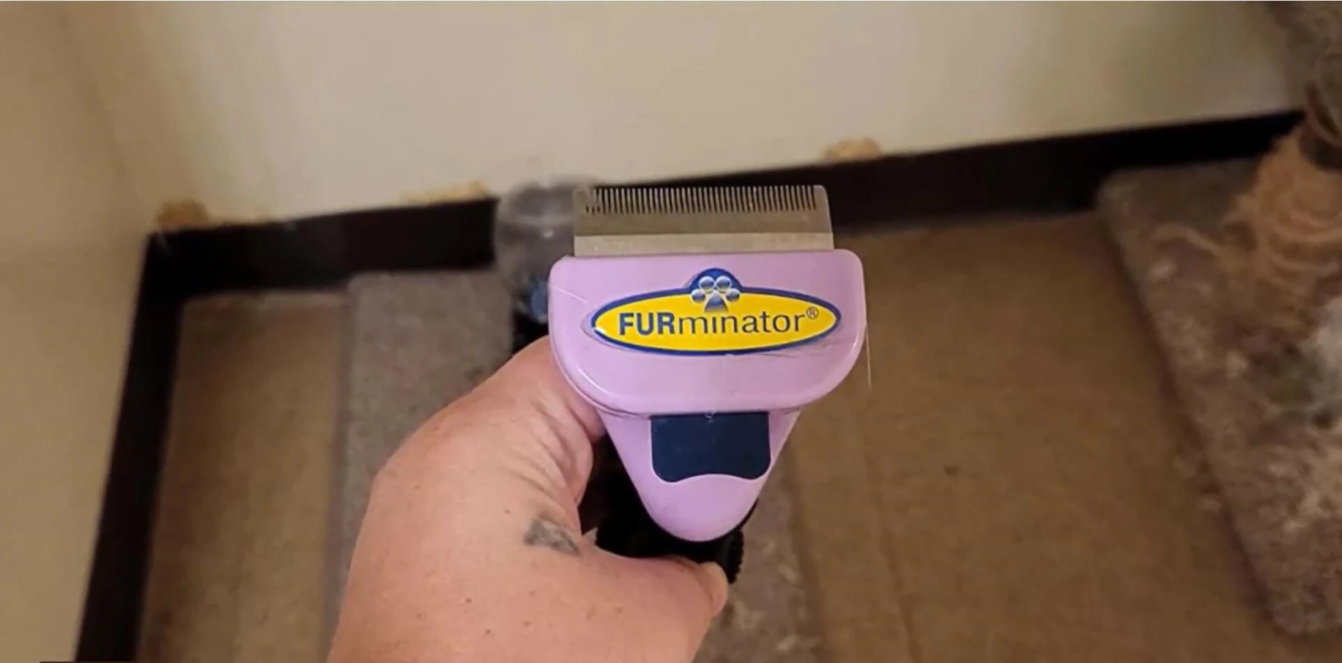 Close-up of the Furminator for Cats Undercoat Deshedding Tool