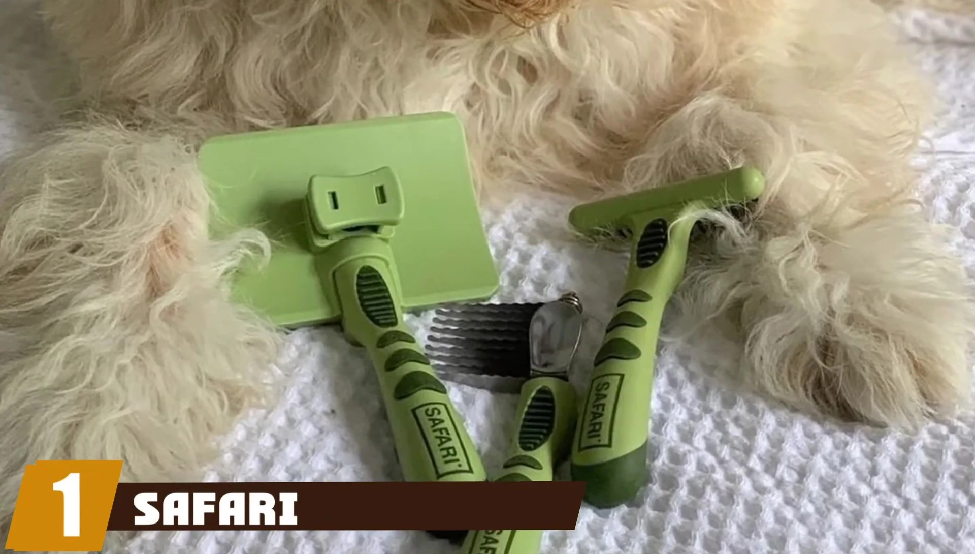 Close-up of the Safari Self-Cleaning Slicker Brush