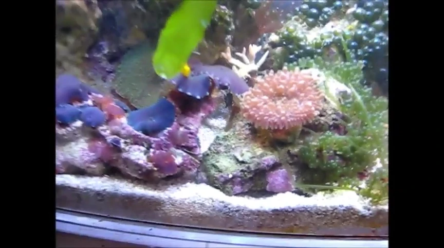 A final overview of the tank and its contents