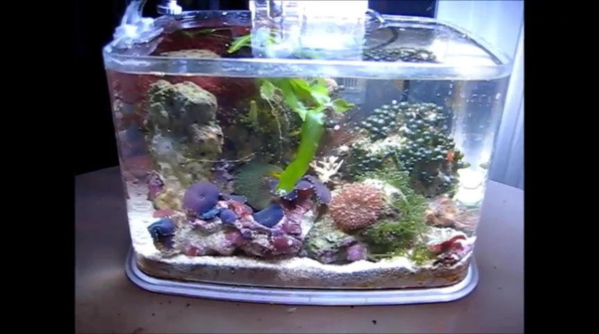 The tank with the top removed, showing its internal structure and dimensions