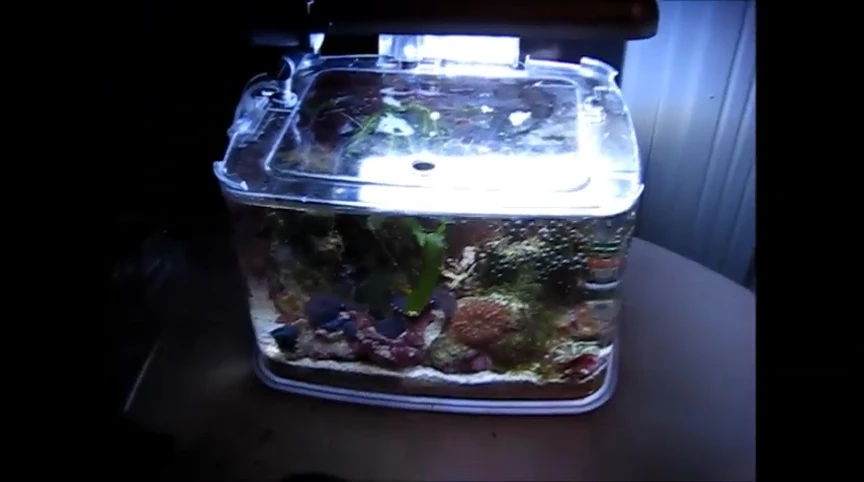 A final shot highlighting the overall aesthetic and functionality of the tank.