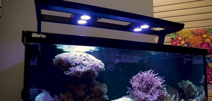 Consider wall or tank brackets for secure and adjustable mounting.