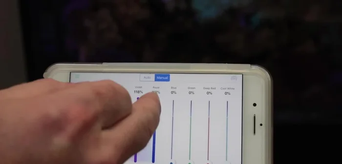 Measure PAR levels with a PAR meter. Aim for 50-150 PAR for LPS and 200-350 PAR for SPS. Your eye cannot accurately assess PAR.