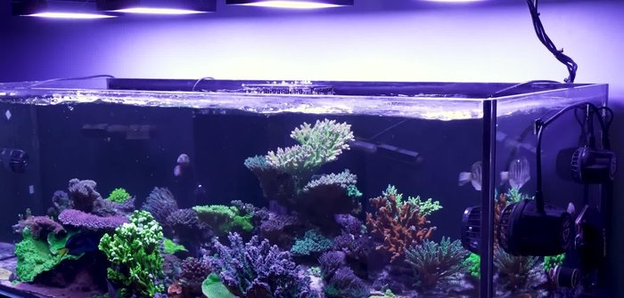 Consider wall or tank brackets for secure and adjustable mounting.