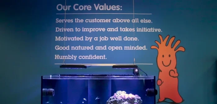 Consider wall or tank brackets for secure and adjustable mounting.