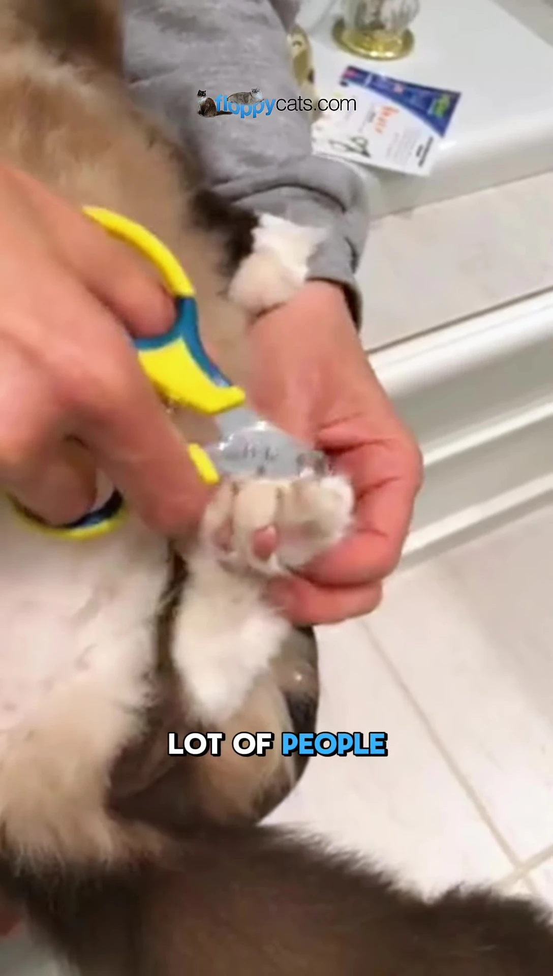 The cat and owner after the process.