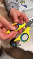 Zen Clippers for Cats: Choosing the Right Size for Perfect Nail Trims