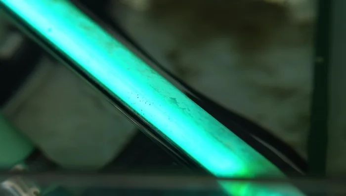 Algae Bloom (Severe): Use a UV sterilizer to neutralize algae.