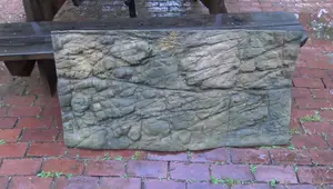 Universal Rocks 3D Aquarium Background: A Comprehensive Review