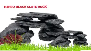 Top 5 Aquascaping Rocks: Transform Your Aquarium with Affordable Gems