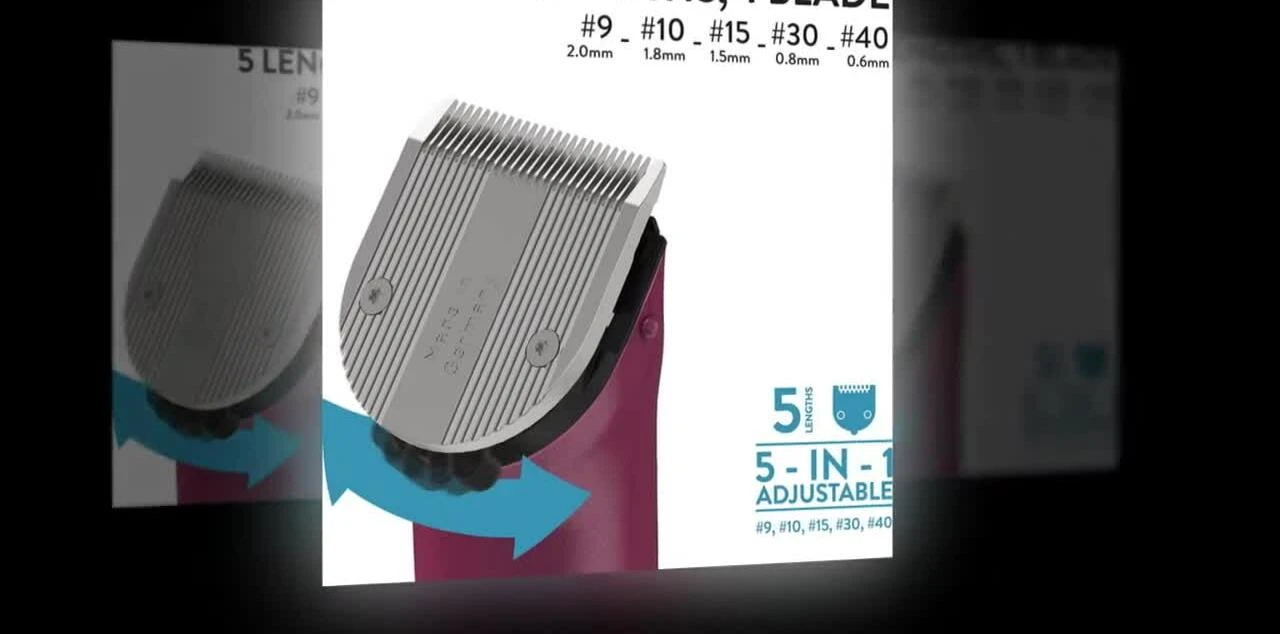 Clipper dimensions and weight highlighted.