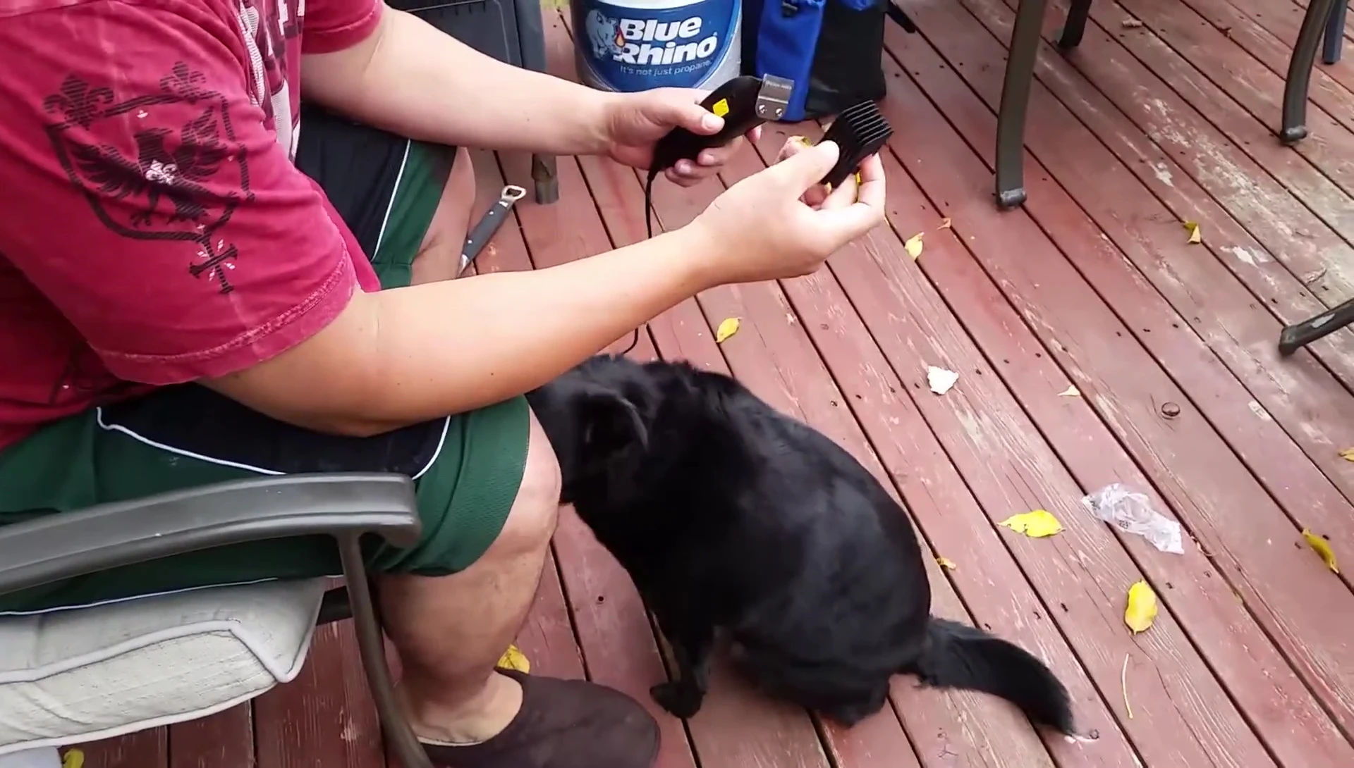 The narrator preparing to cut the dog's hair