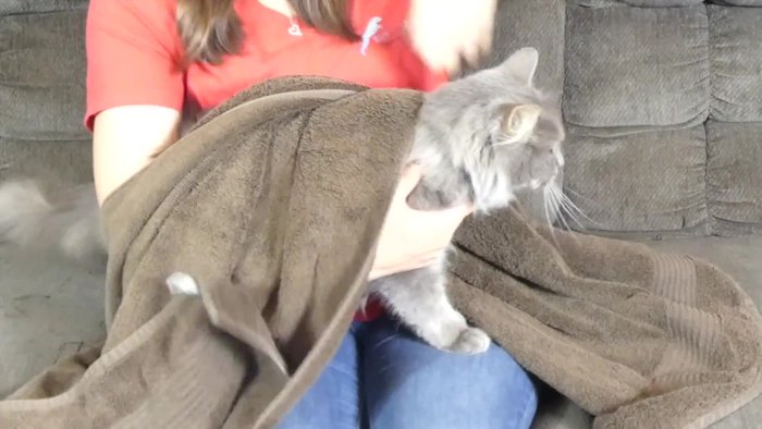 Use cat ear cleaner (not dog ear cleaner, peroxide, or hot water).