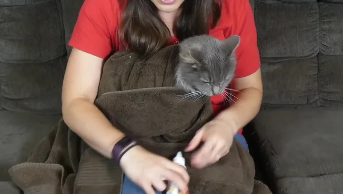 Use cat ear cleaner (not dog ear cleaner, peroxide, or hot water).