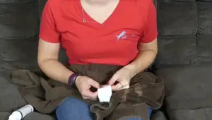 How to Safely Clean Your Cat's Ears at Home